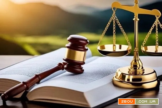 Юрист дистанційне розлучення Київ. Виноградар Адвокат Київ - изображение 1