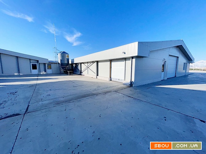 Свиноферма 1400 голів у Румун Київ - изображение 1