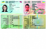 Помощь в получении тех паспорта и водительских прав