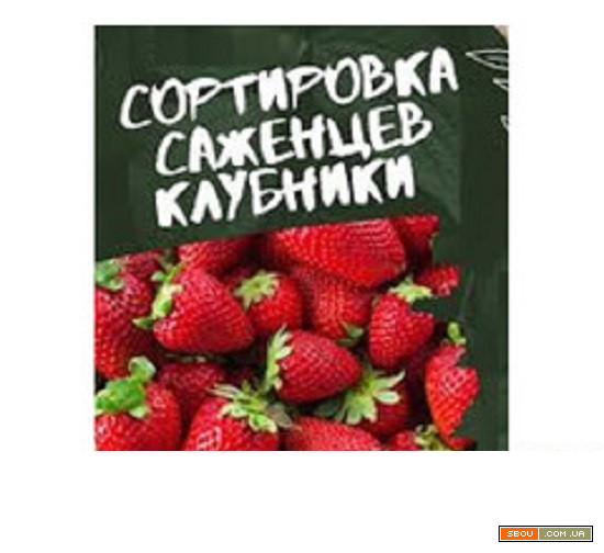 Требуются работники на сезонную работу - сортировка саженцев. Кропивницький - изображение 1