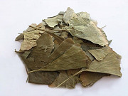 Гинкго билоба (листья) 1 кг