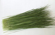 Зубровка (трава) 1 кг