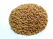 Пажитник сенной (Шамбала) семена 1 кг