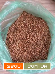 Продаємо зерно гречки Ужгород - изображение 1