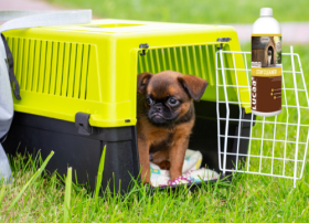 Засіб для прибирання за тваринами : LUCAA+Pet Stay Cleaner Concentrat