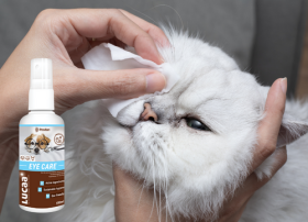 LUCAA+ Pet Probiotic Eye Care - 100 мл Спрей Покращує комфорт для очей