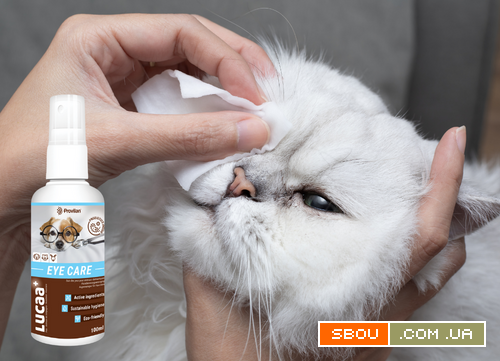 LUCAA+ Pet Probiotic Eye Care - 100 мл Спрей Покращує комфорт для очей Киев - изображение 1