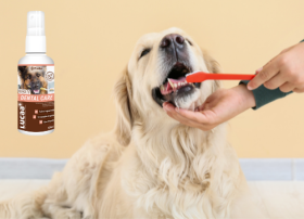 LUCAA+ Pet Probiotic Dental Care - 100 мл спрей Захищає здоров'я ясен