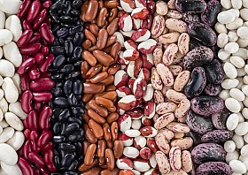 Купуємо на переробку квасолю різних сортів