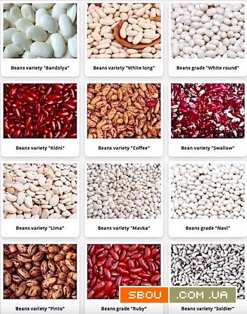 Високоякісна квасоля з доставкою Луцк - изображение 1