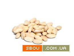 Закуповуємо оптом різні сорти квасолі для консервування Львов - изображение 1