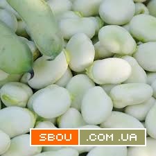 Продаж. Посівмат квасолі. Насіння квасолі. В асортименті Київ - изображение 1