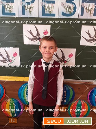 Шкільний жилет для хлопчика/дівчинки Винница - изображение 1