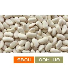 Закуповуємо червону, білу квасолю Полтава - изображение 1