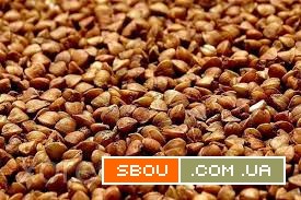 Зерно гречки, гречиха оптом Винница - изображение 1