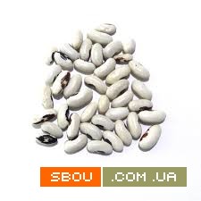 Закуповуємо кольорову та білу квасолю Суми - изображение 1