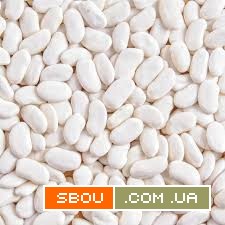 Закуповуємо кольорову та білу квасолю оптом Львов - изображение 1