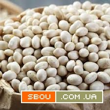 Закуповуємо квасолю. Від 10 тонн Хмельницкий - изображение 1