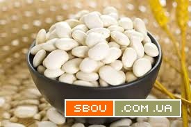 Насіння квасолі. Посівний матеріал квасолі Черновцы - изображение 1