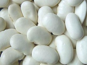 Квасоля в асортименті. Постачання гуртом