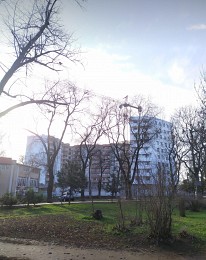 1-комн. квартира в ЖК Алексеевский, Молдаванка