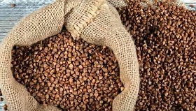 Гречка гуртом. Якість. Обсяги. Поставка