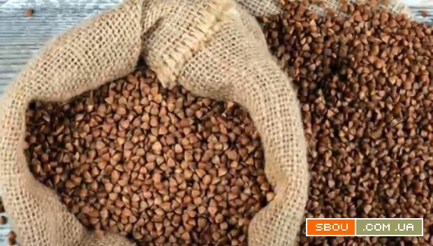 Гречка гуртом. Якість. Обсяги. Поставка Тернополь - изображение 1