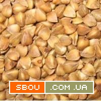 Насіння гречки. Оптовий продаж від виробника Тернопіль - изображение 1