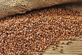 Гречка на посів. Прямі поставки насіння