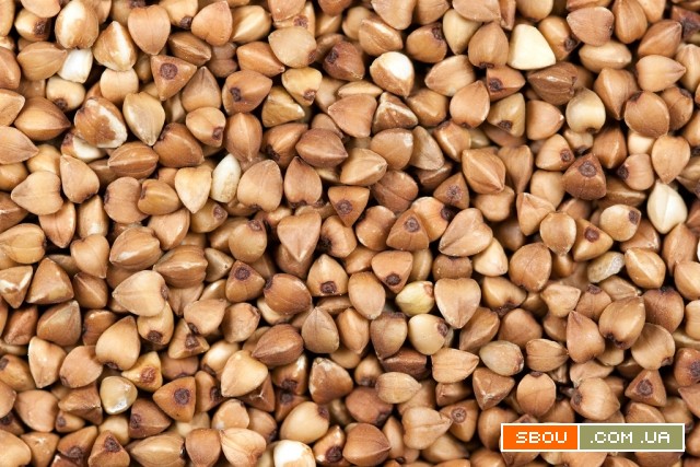 Продам зерно гречки. Опт від 5 тонн Винница - изображение 1