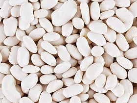 Асортимент квасолі для гуртових закупівель