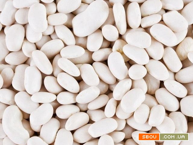 Асортимент квасолі для гуртових закупівель Полтава - изображение 1