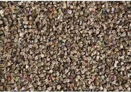 Насіння гречки гуртом. Гарантована якість