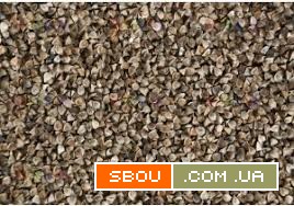 Насіння гречки гуртом. Гарантована якість Запорожье - изображение 1