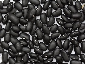 Квасоля оптом. Великий вибір сортів