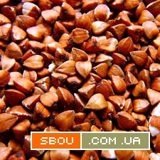 Продаж насіння гречки. Сертифікований посівний матеріал Чернігів - изображение 1