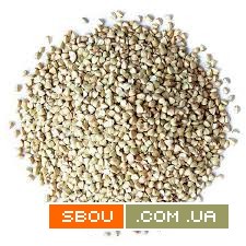 Зерно гречки оптом. Висока якість Харьков - изображение 1