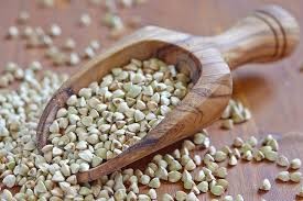 Гречка. Продаж зерна оптом від 5 тонн