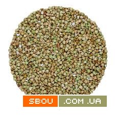 Продаж гречки (зерно гречки) оптом від 5 тонн Дніпро - изображение 1