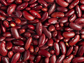 Квасоля для переробки й експорту — гуртом від 5 тонн