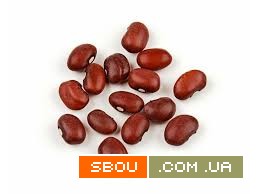 Великий вибір сортової квасолі — гуртові поставки по Україні Дніпро - изображение 1