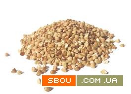 Чисте, якісне зерно гречки. Опт. Кропивницкий - изображение 1