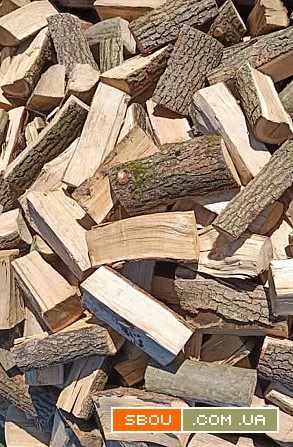 Дрова Луцьк – продаж та доставка дров у Луцьку та Волинській області Луцьк - изображение 1