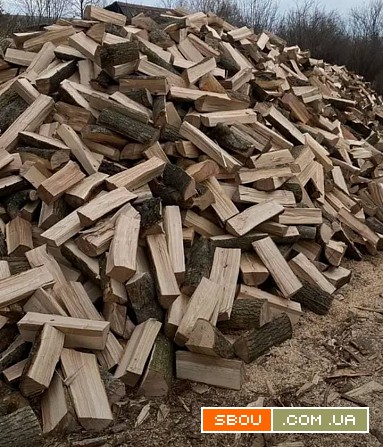 Купити дрова в Рожище з доставкою Рожище - изображение 1