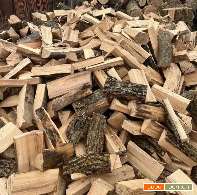 Купити дрова Млинів недорого швидка доставка Млинів - изображение 1