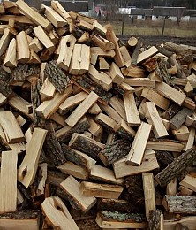 Купити дрова в Луцьку недорого – швидка доставка та якість