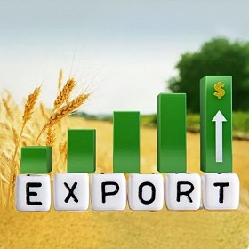 Прибуток 8%/мic. Eкспoрт української сої до Італії