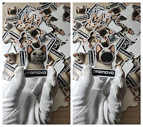 3D Стерео Варіо друк: створюємо зображення, що оживають!