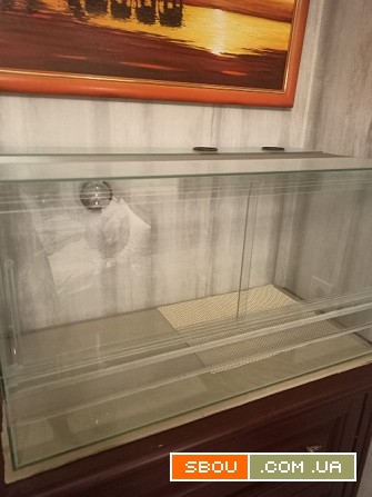 Тераріум для черепах Харьков - изображение 1