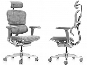 Качественное кресло компьютерное Ergohuman Luxury 2 серого цвета